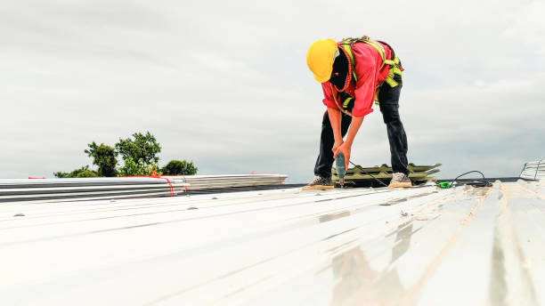 Best Asphalt Shingle Roofing  in El Cerro Mission, NM